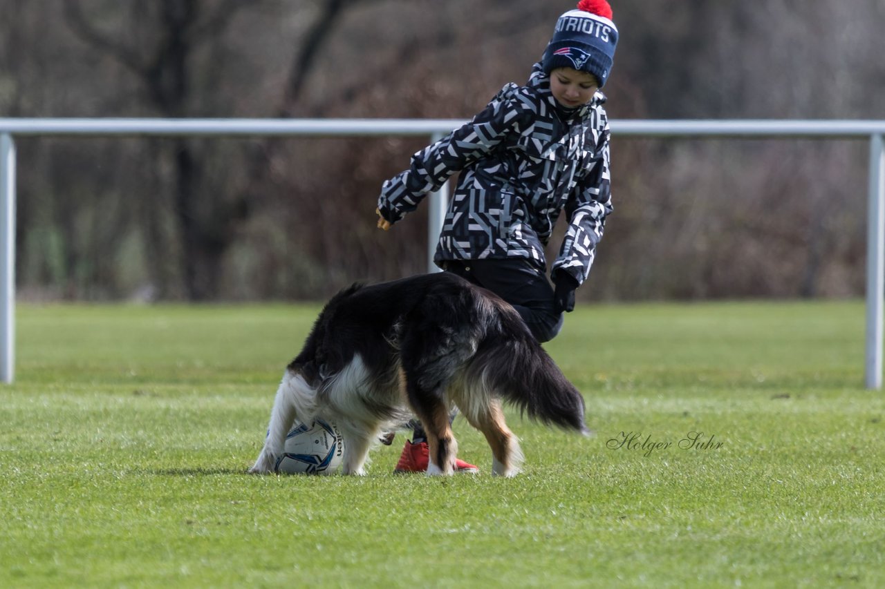 Bild 136 - Frauen SV Henstedt Ulzburg2 : TSV Schoenberg : Ergebnis: Abbruch